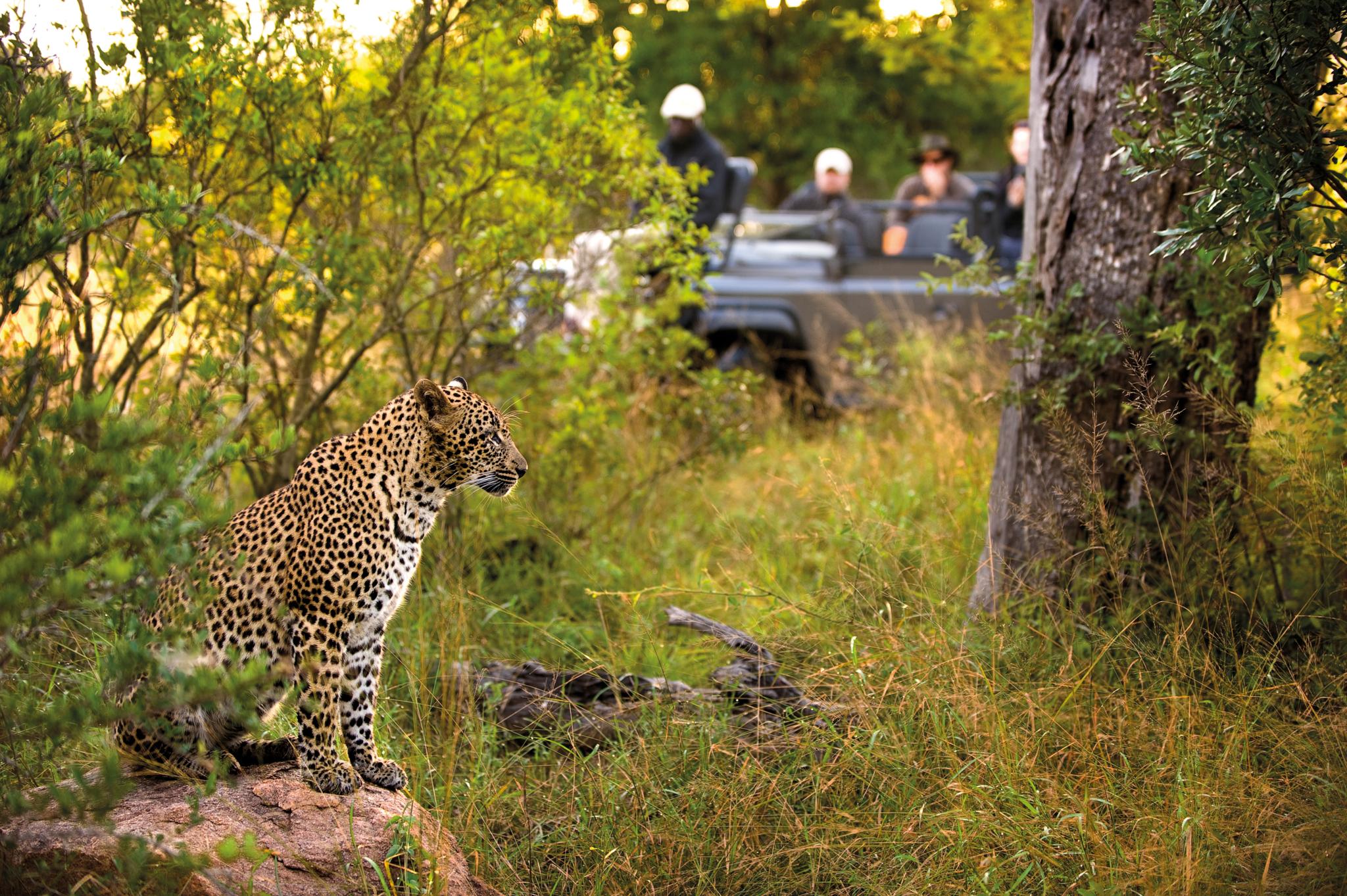 Lion Sands Narina Lodge Саби-Санд-Гейм-Резерв Экстерьер фото