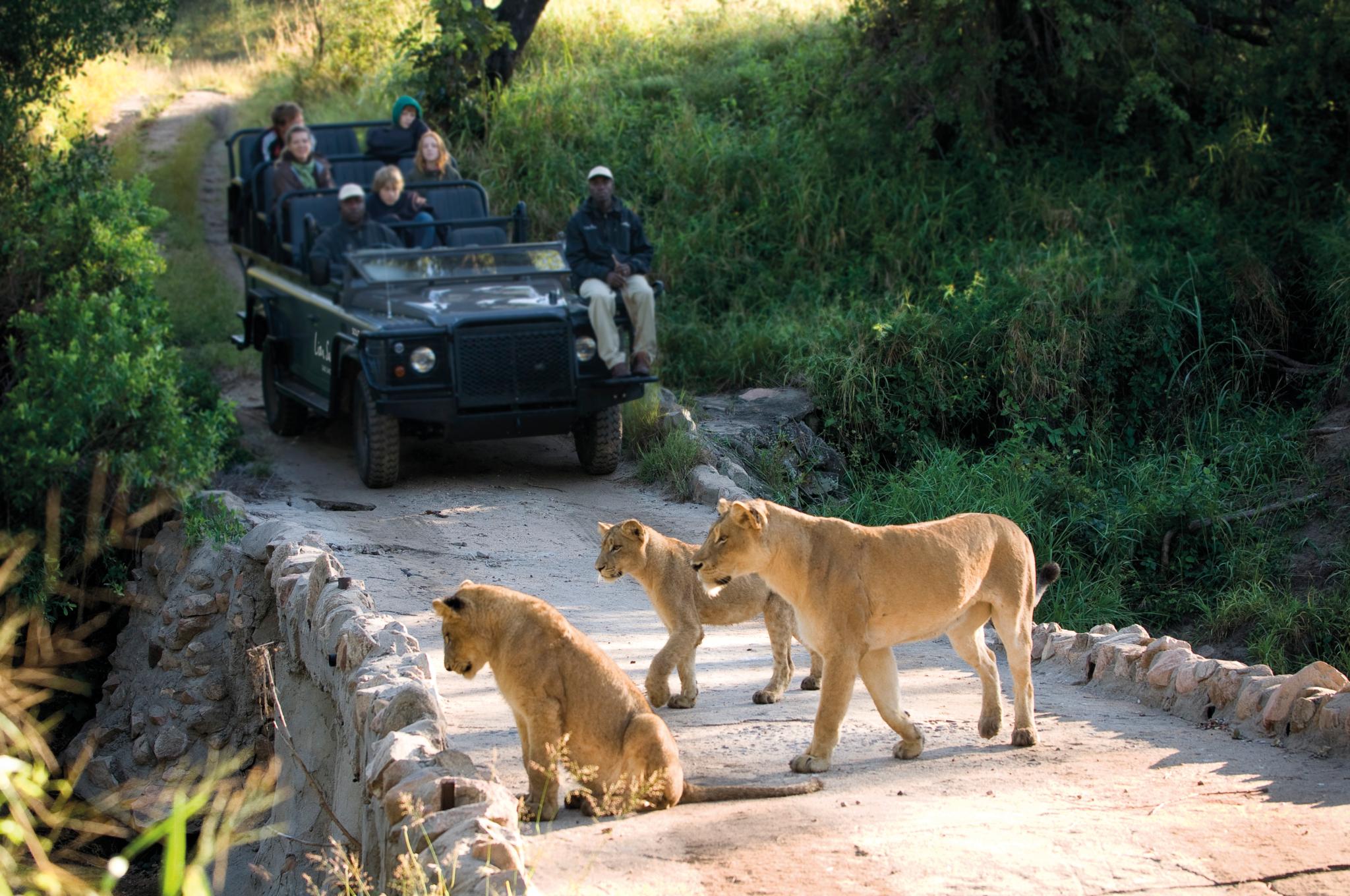 Lion Sands Narina Lodge Саби-Санд-Гейм-Резерв Экстерьер фото