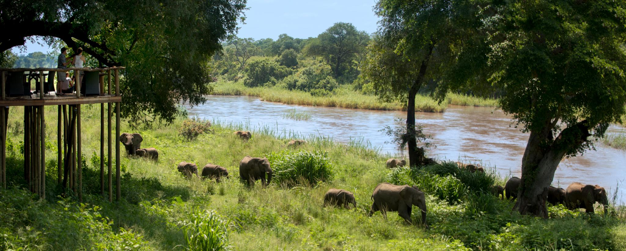 Lion Sands Narina Lodge Саби-Санд-Гейм-Резерв Экстерьер фото