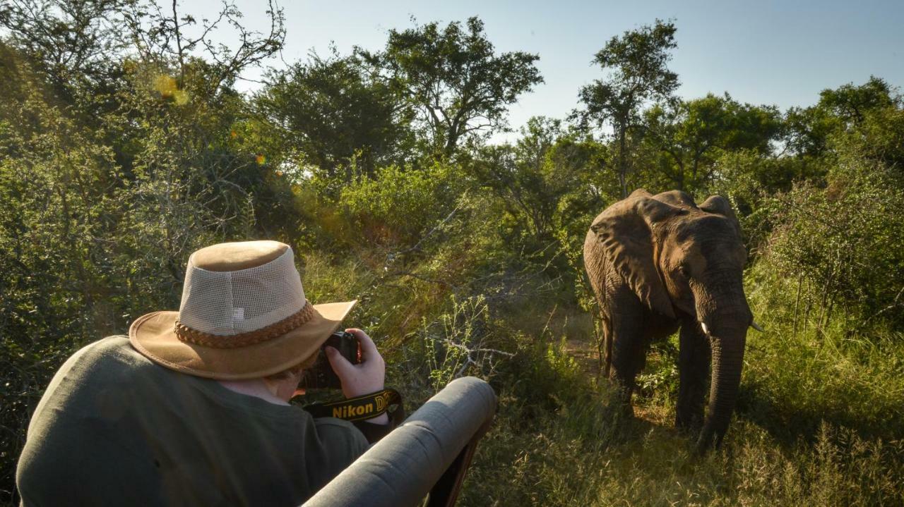 Lion Sands Narina Lodge Саби-Санд-Гейм-Резерв Экстерьер фото
